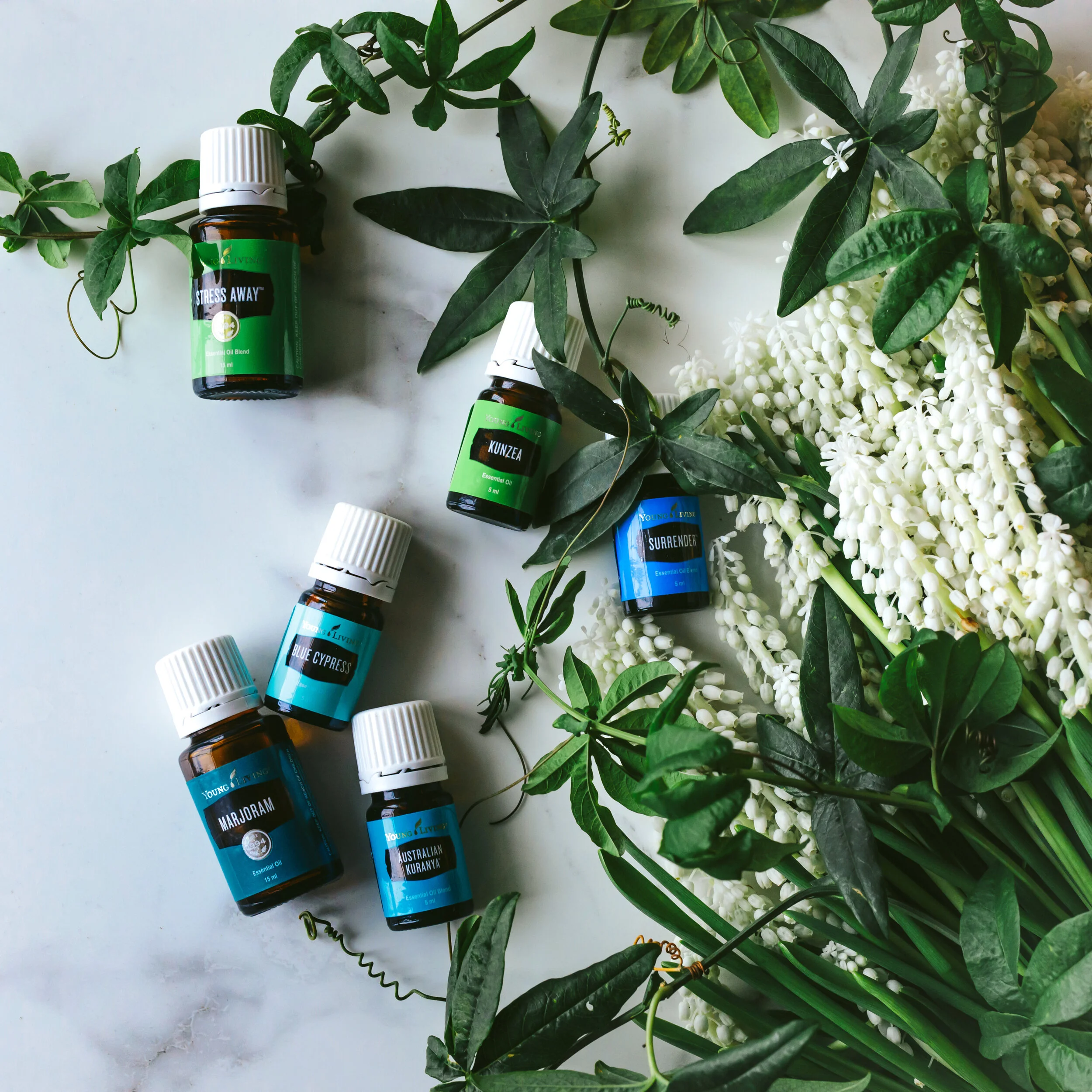 Young Living Artisan Diffuser 2個セット 新品 Young Living Artisan Diffuser 2個セット 新品 Young Living